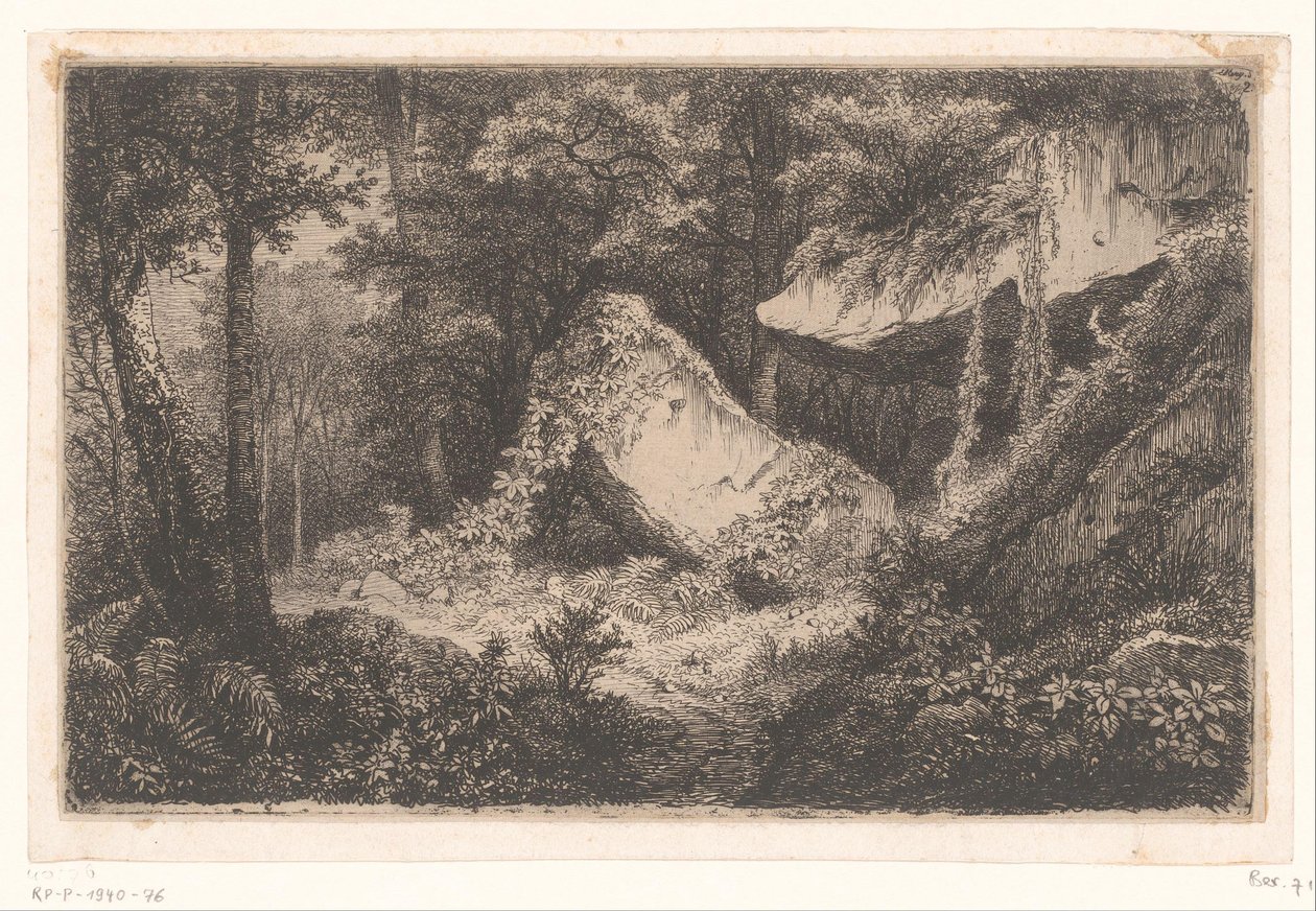 La vida en el bosque es una de las más importantes.
Las Rocas Blancas
Conjunto de 8 grabados sobre la naturaleza cerca de Dampierre por Eug. Bléry (título de la serie) de Eugene Bléry