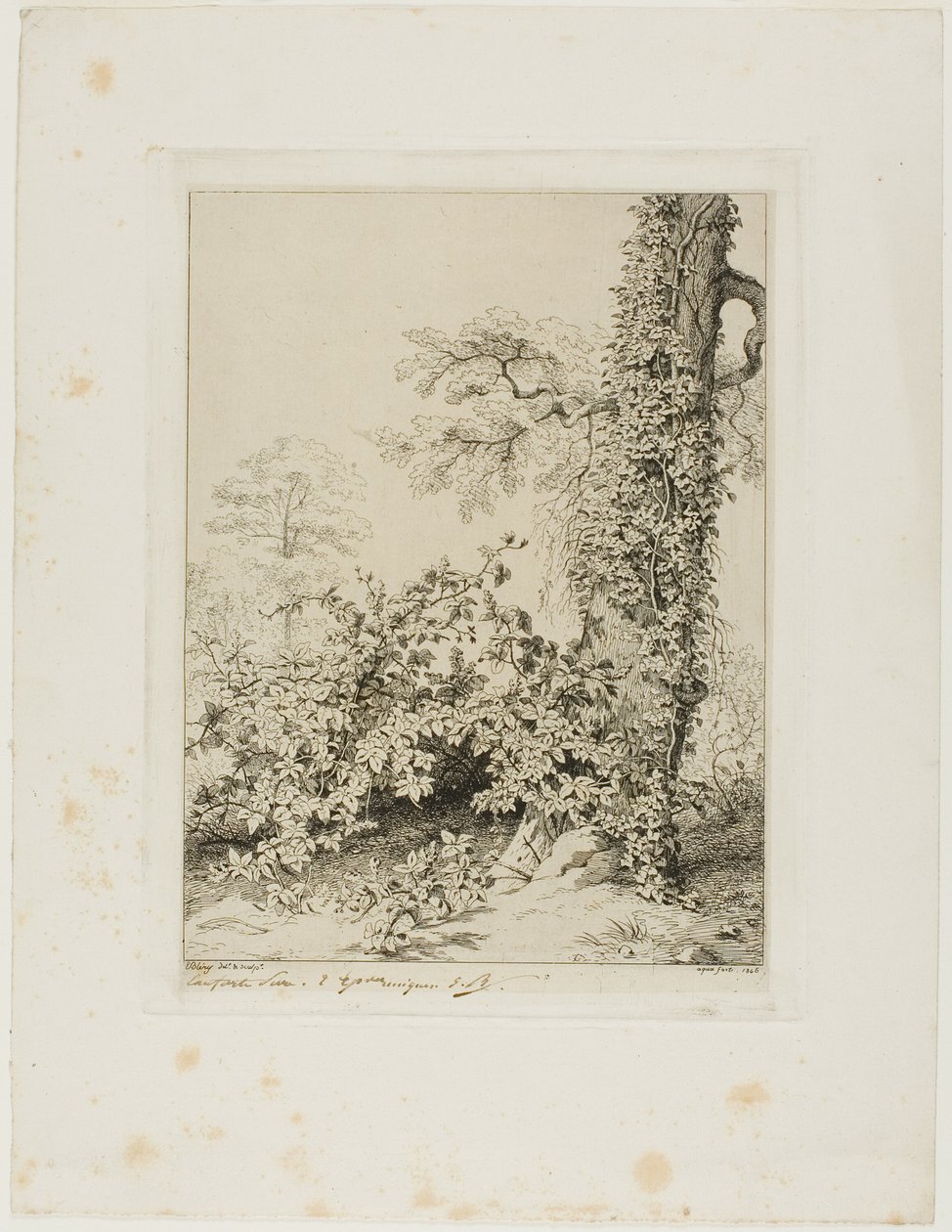 Zarza y hiedra de Eugene Bléry