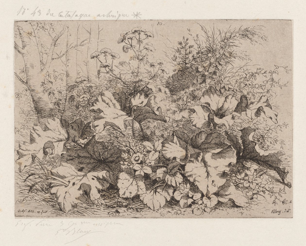 Bardana en flor de Eugene Bléry