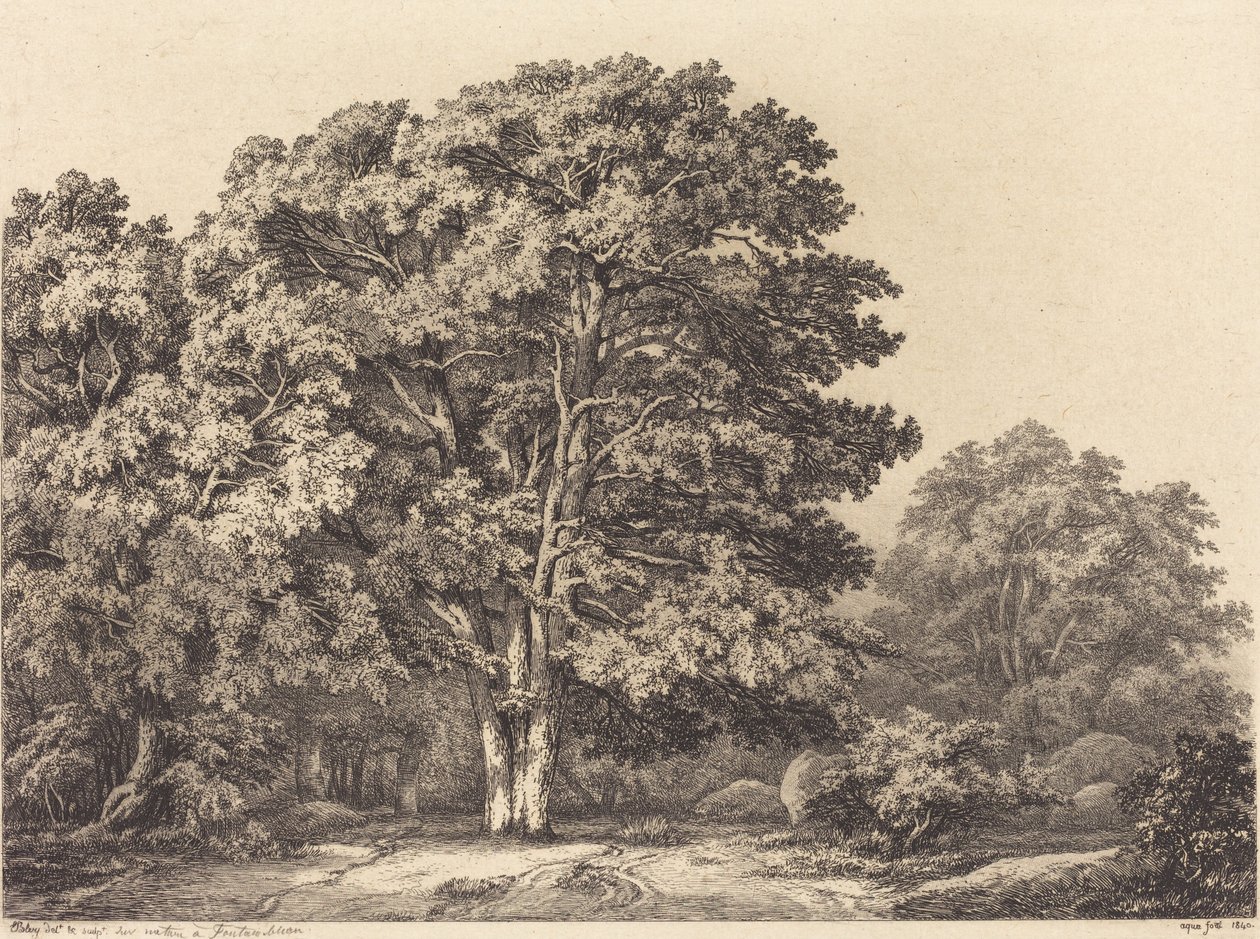 Entrada a un Bosque, 1840 de Eugene Bléry