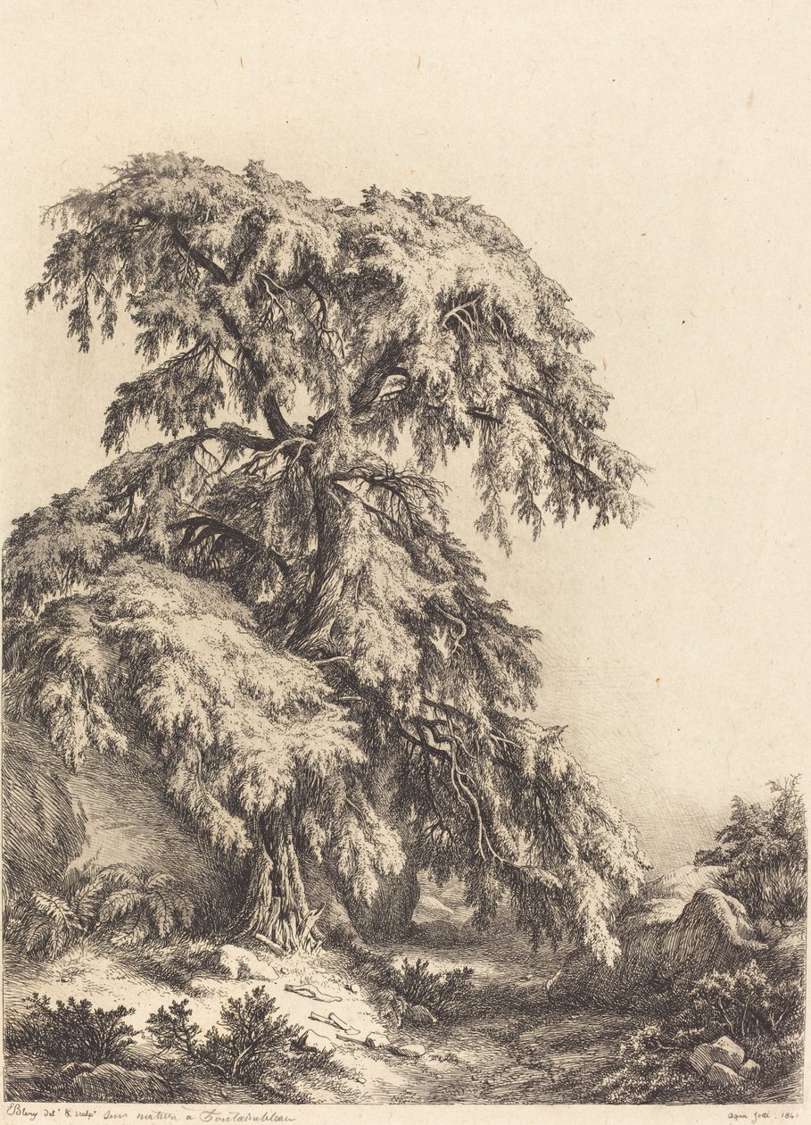 Árbol de Enebro de Eugene Bléry