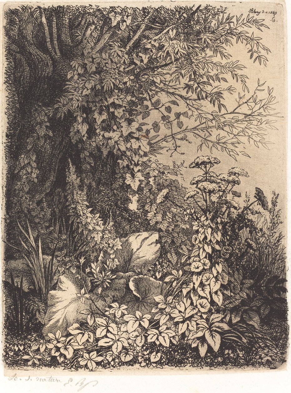 La bardana con sauce de Eugene Bléry