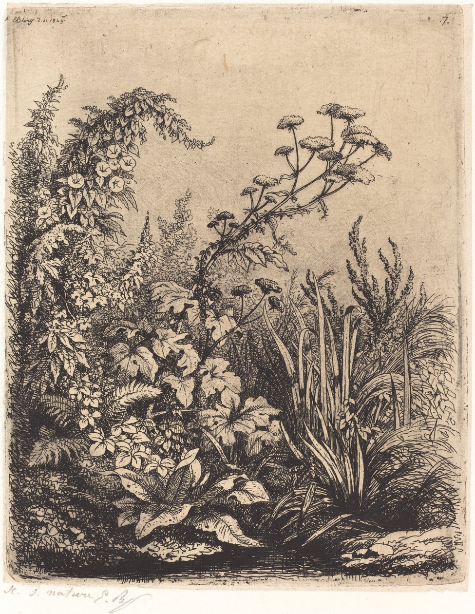 La pequeña berle con liserones, publicada en 1849 de Eugene Bléry
