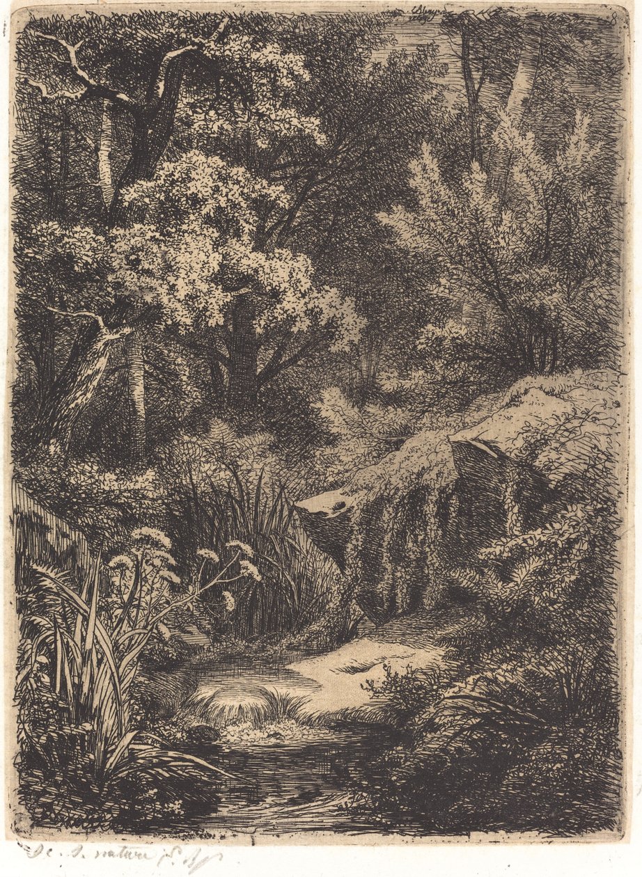 Le petit ruisseau de Eugene Bléry