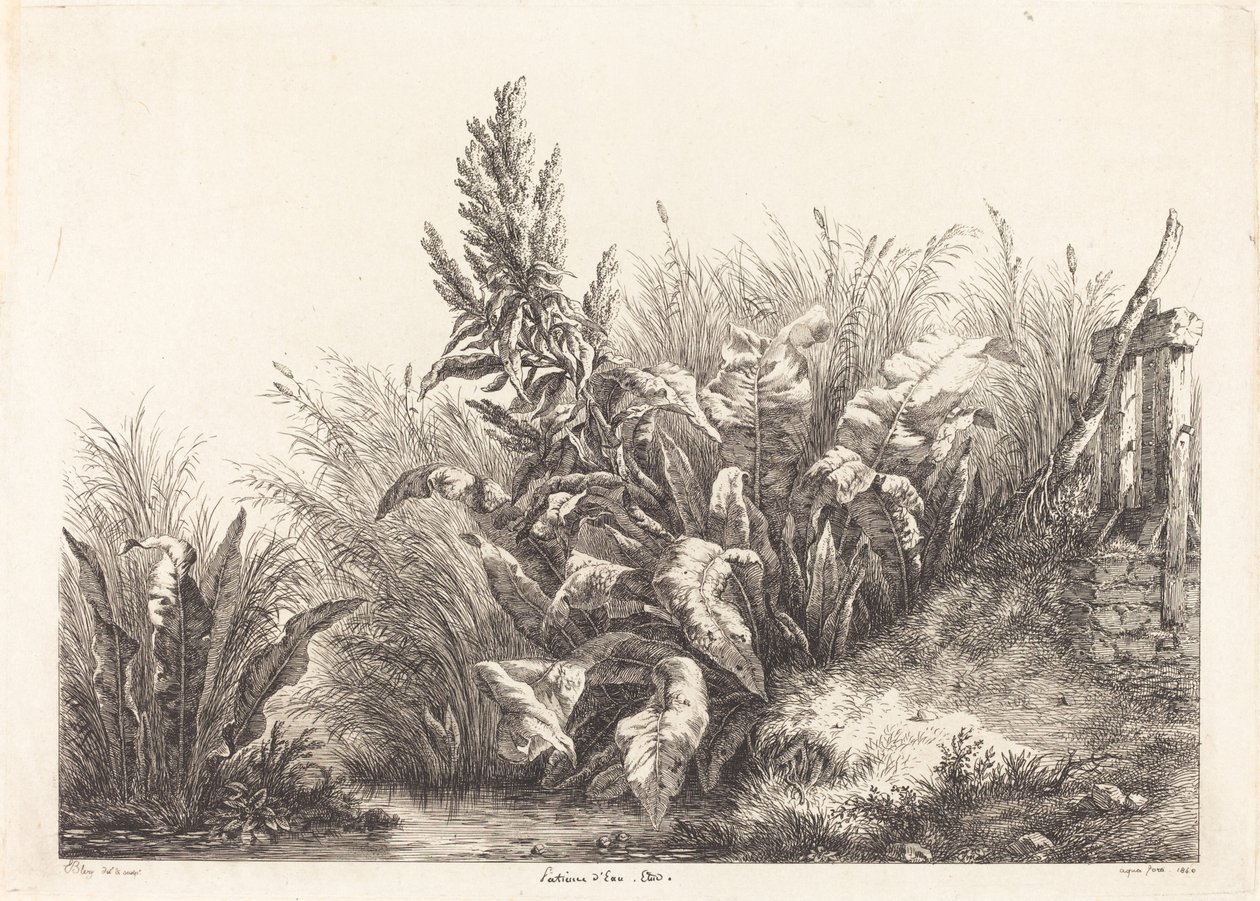 Paciencia de agua, estudio de Eugene Bléry