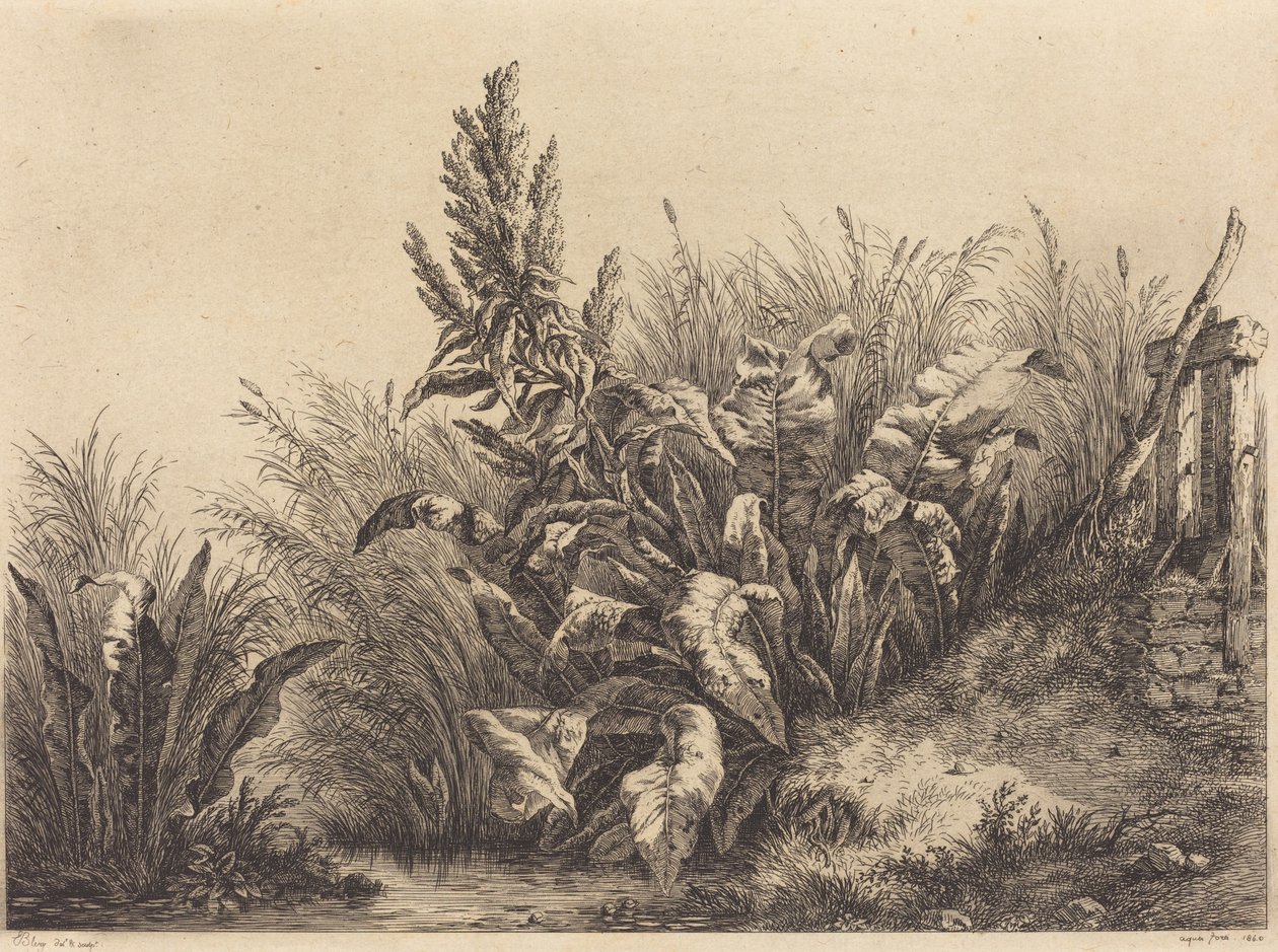 Muelle de agua, 1840 de Eugene Bléry