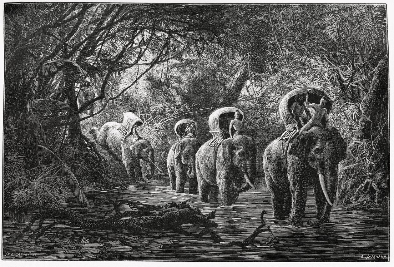 En camino hacia el bosque, la expedición viaja en el lomo de un elefante. Grabado por Eugene Burnand, para ilustrar la historia “Viaje en el Alto Laos”, en 1880, por el Dr. P.Neis. Publicado en Le Tour du monde, nuevo diario de viajes, 2º semestre de Eugene Burnand