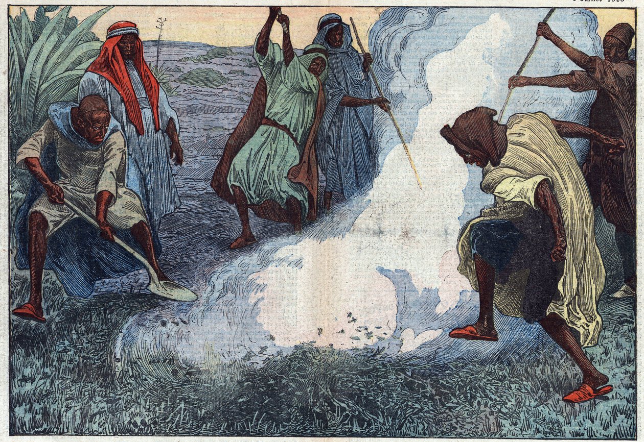 La destrucción de langostas en Argelia: los árabes las queman entre gritos e imprecaciones. Ilustración de Damblans. En "Le Pelerin" del 4 de julio de Eugene Damblans