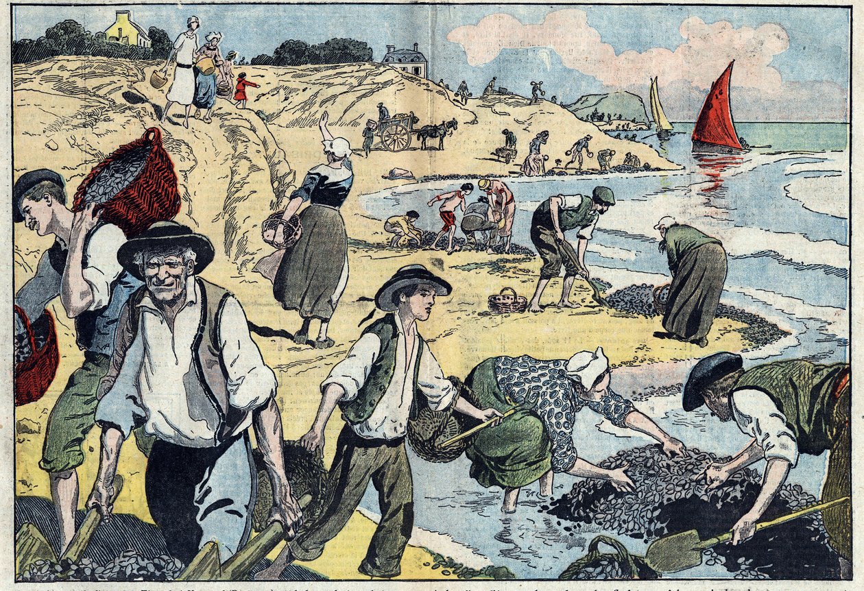 Los habitantes de la costa de Thouais están cosechando mejillones. Kernevel, Finisterre (29), Bretaña. Ilustración de Damblans en 