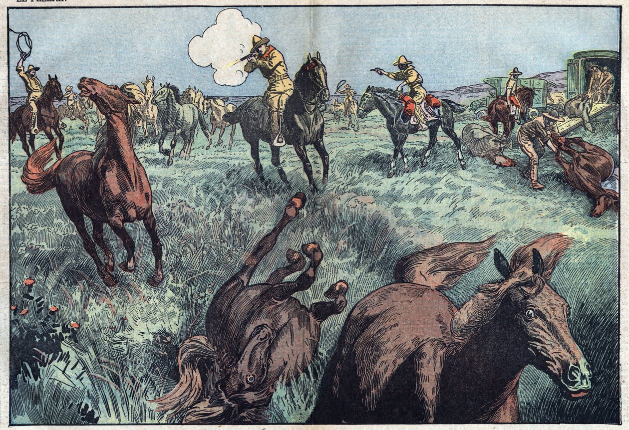 Caballos salvajes son sacrificados en los Estados Unidos. Ilustración de Damblans. En "Le Pelerin" del 31 de enero. de Eugene Damblans