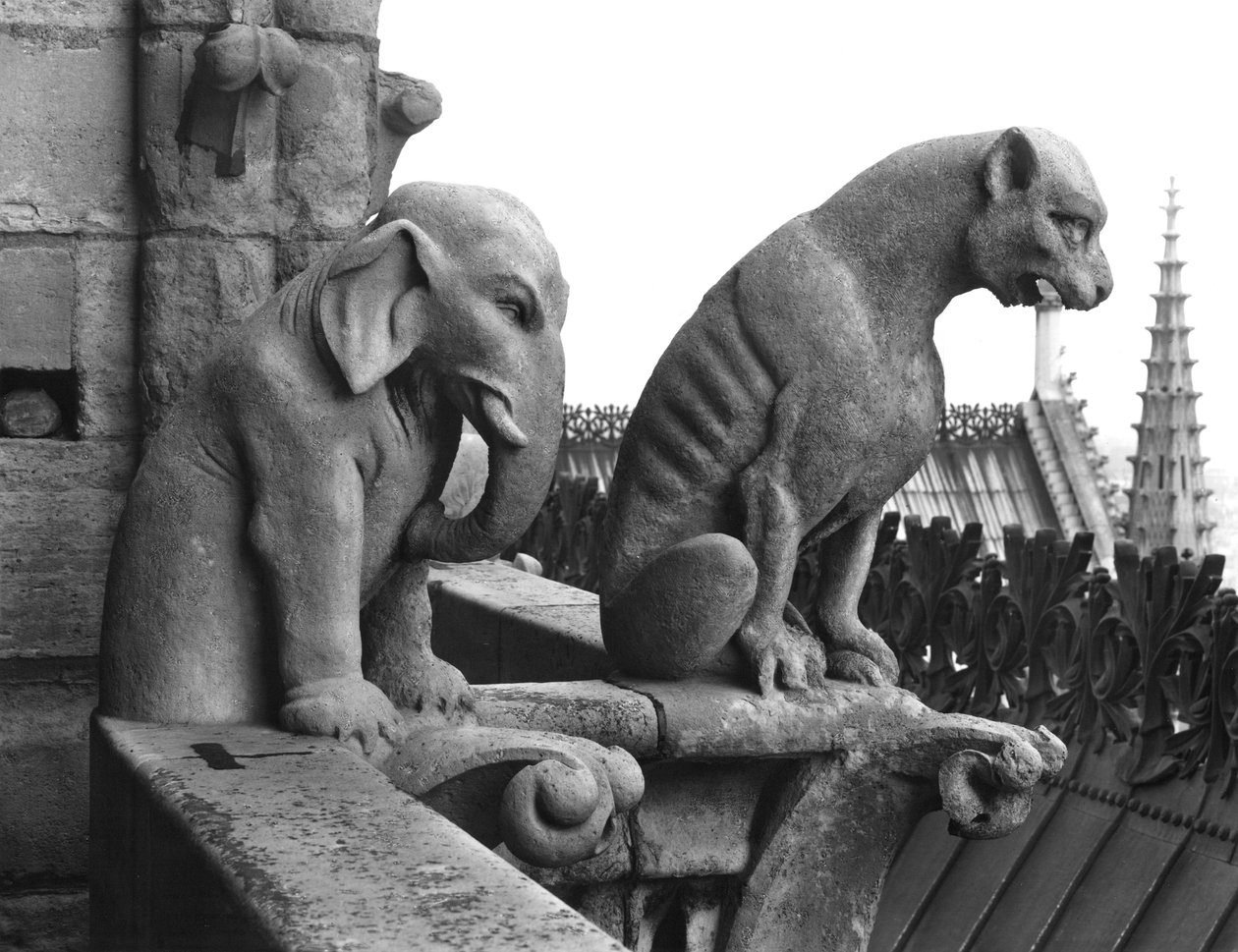 Gárgolas de elefante y león de la balaustrada de la Gran Galería de la fachada oeste, réplica de un original del siglo XII de Eugene Emmanuel Viollet le Duc