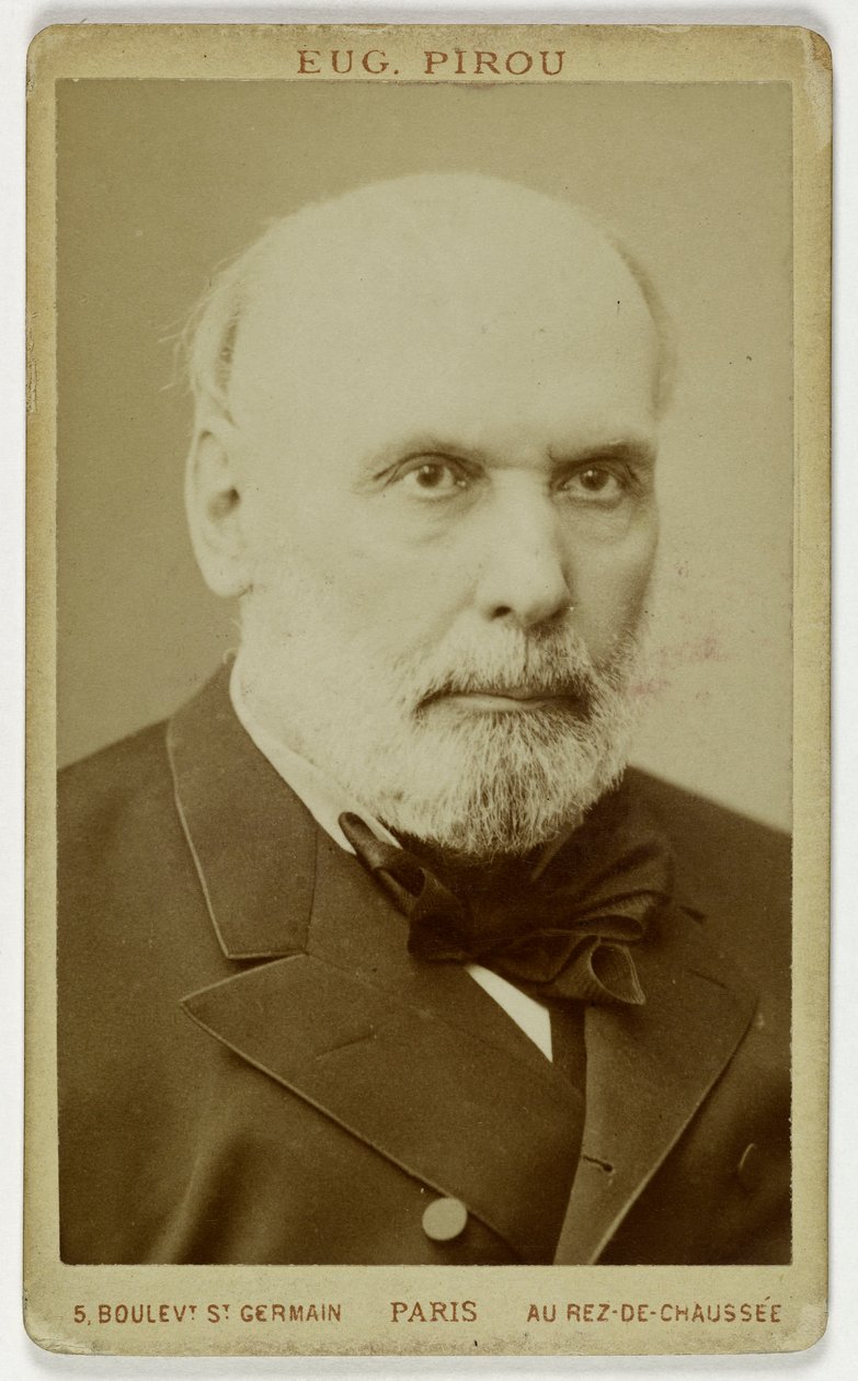 Porträt von Grévy Jules, (1807-1897), (Politiker, Anwalt, Abgeordneter, 4. Präsident der Republik) de Eugene Pirou
