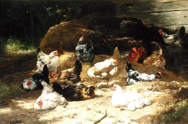 Gallinas de Eugene Remy Maes