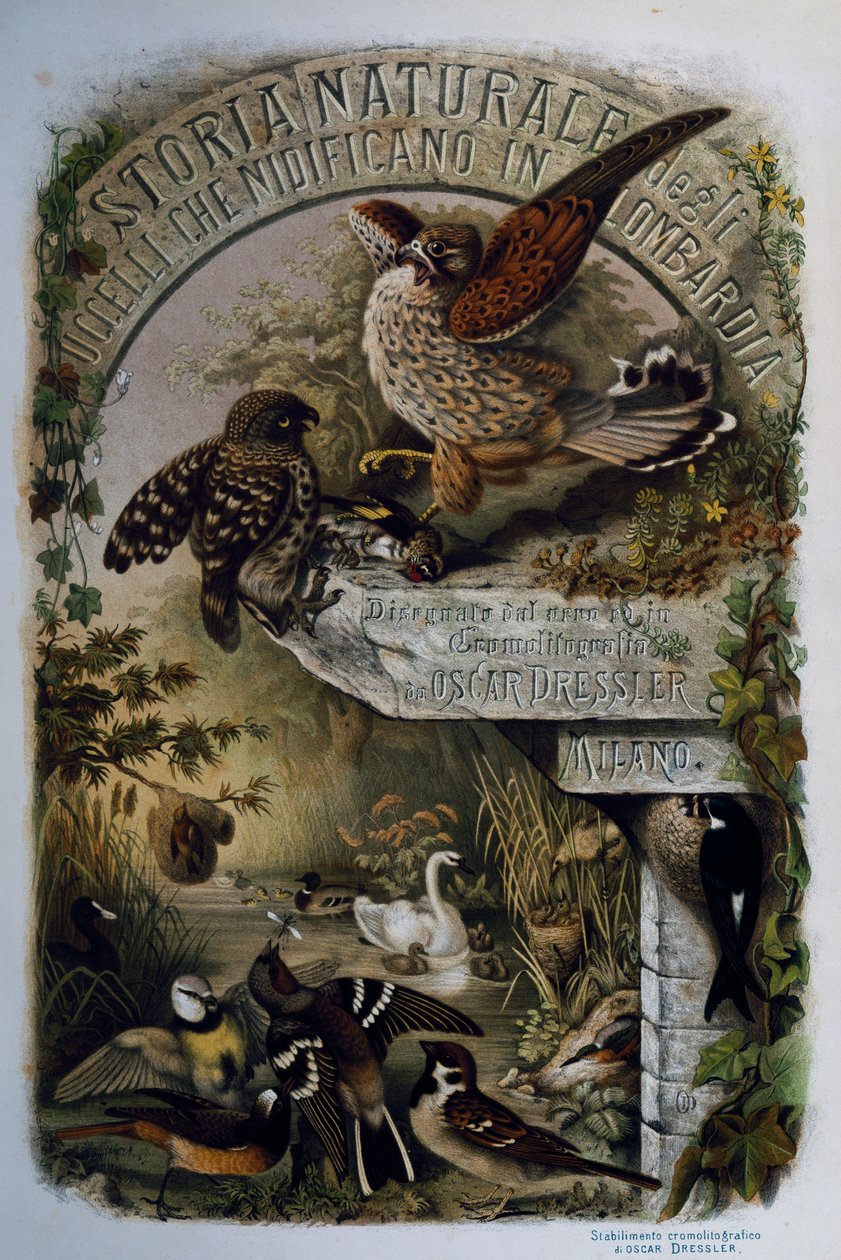 Página del título de Historia Natural de las Aves que anidan en Lombardía, por Eugenio Bettoni (1845-1898), grabado por Oscar Dressler, Italia de Eugenio Bettoni, Oscar Dressler