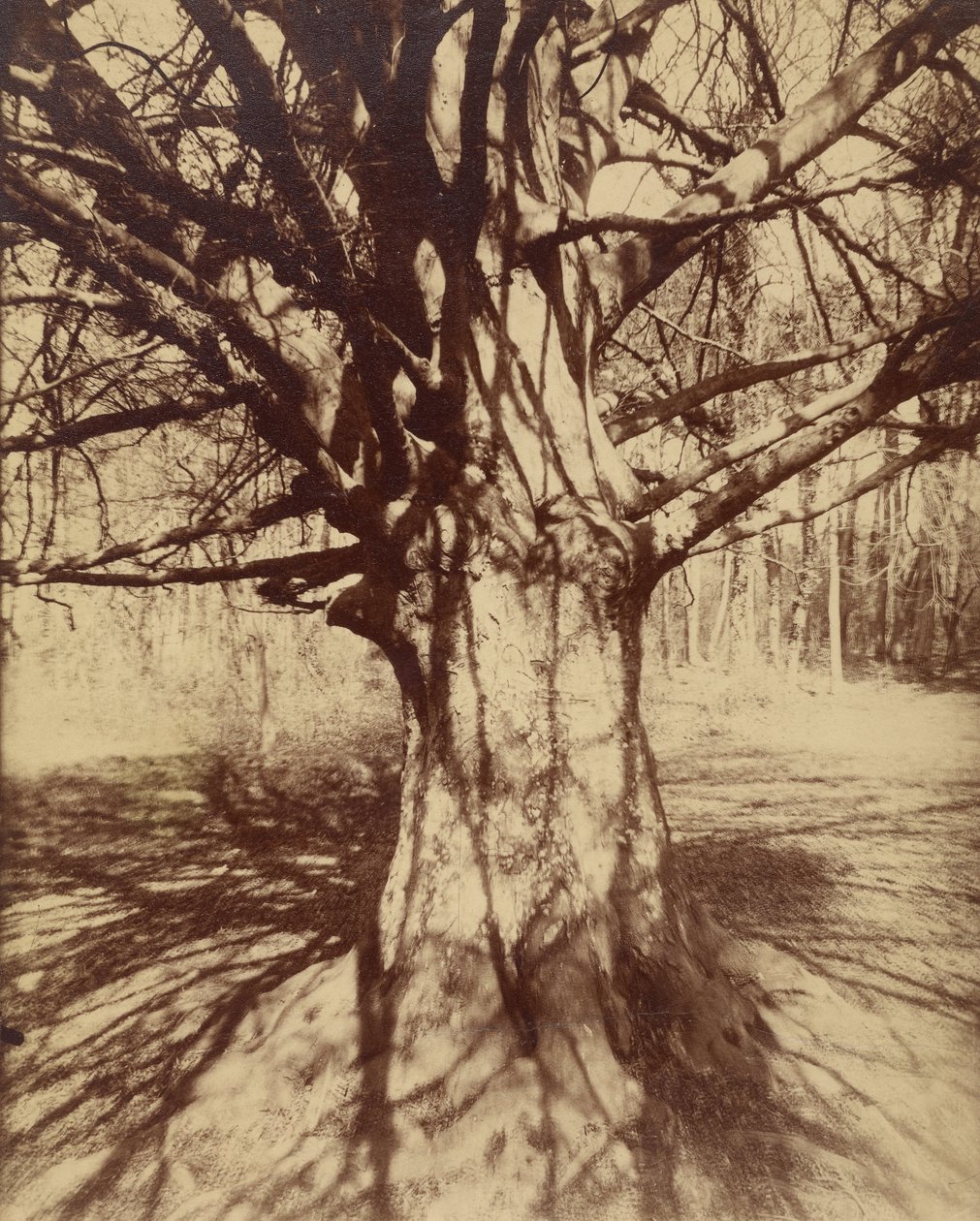 Haya de Eugène Atget