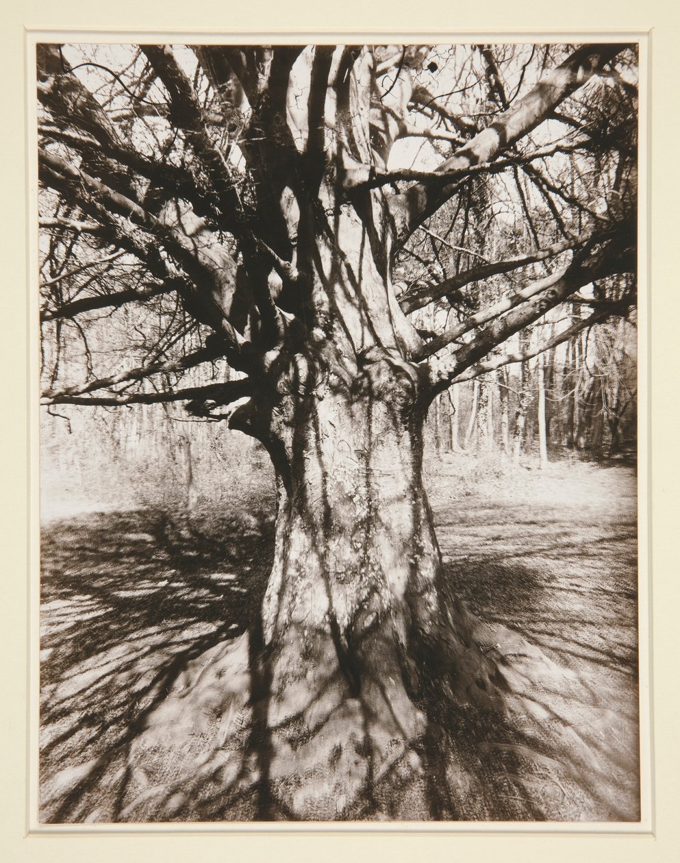 Haya de Eugène Atget