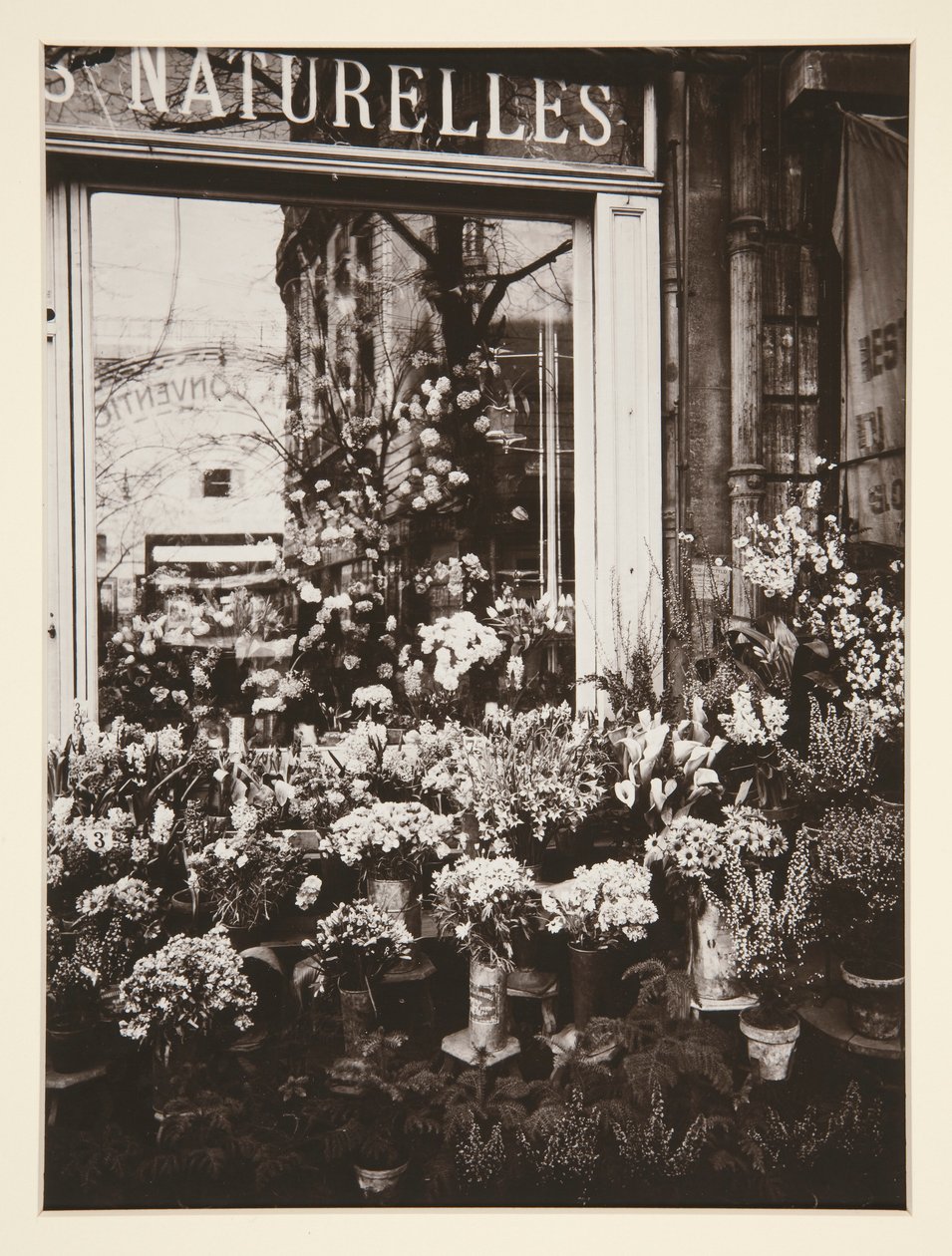 Florería -37 (Florería) de Eugène Atget