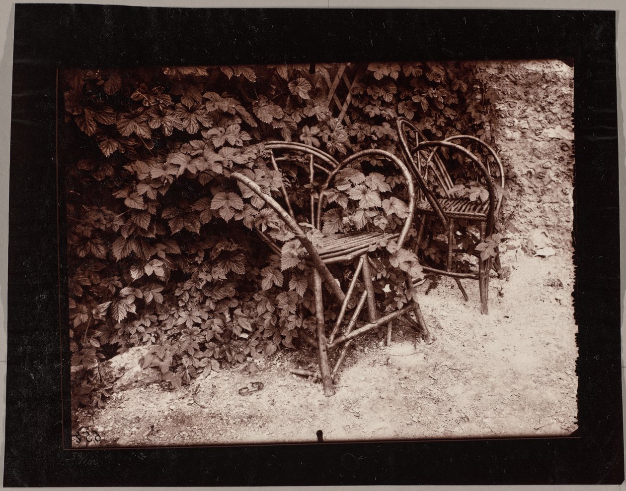 Lúpulo de Eugène Atget