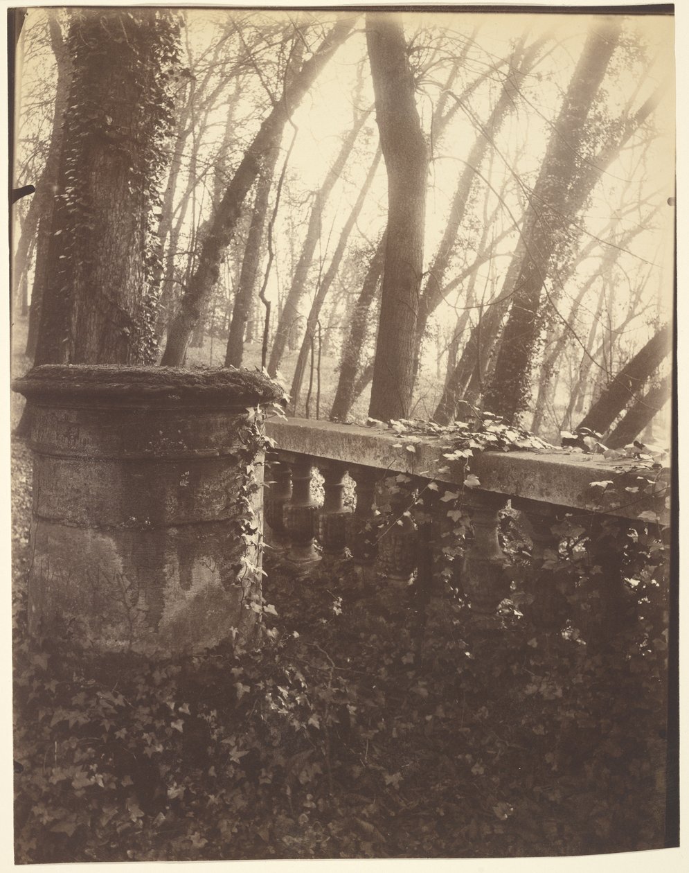 Parque de Saint-Cloud, París de Eugène Atget
