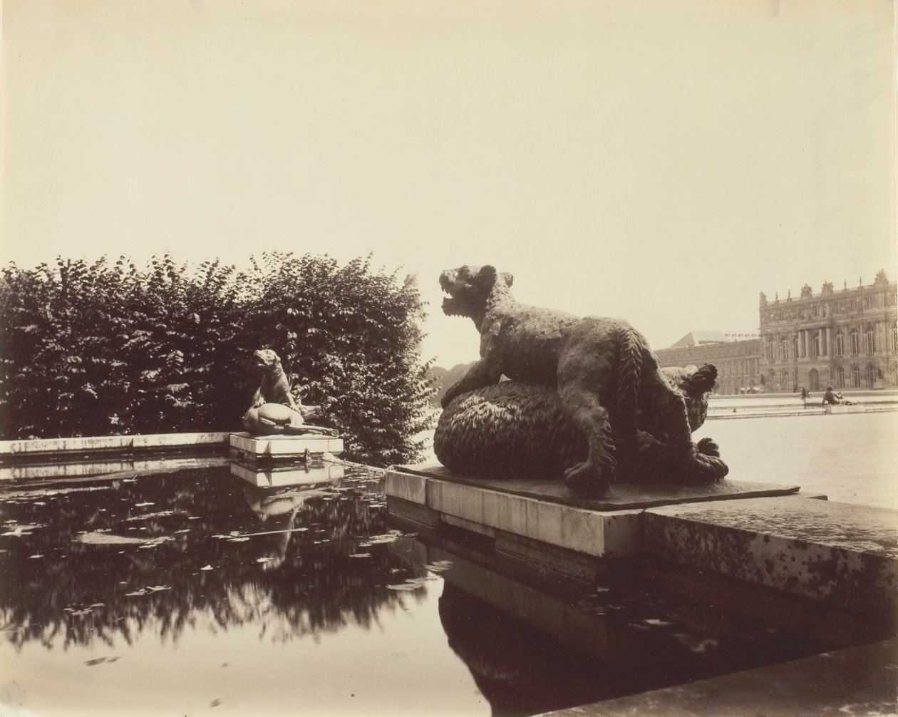 Versalles, Fuente del Punto del Día, Tigre derribando un oso por Houzeau de Eugène Atget