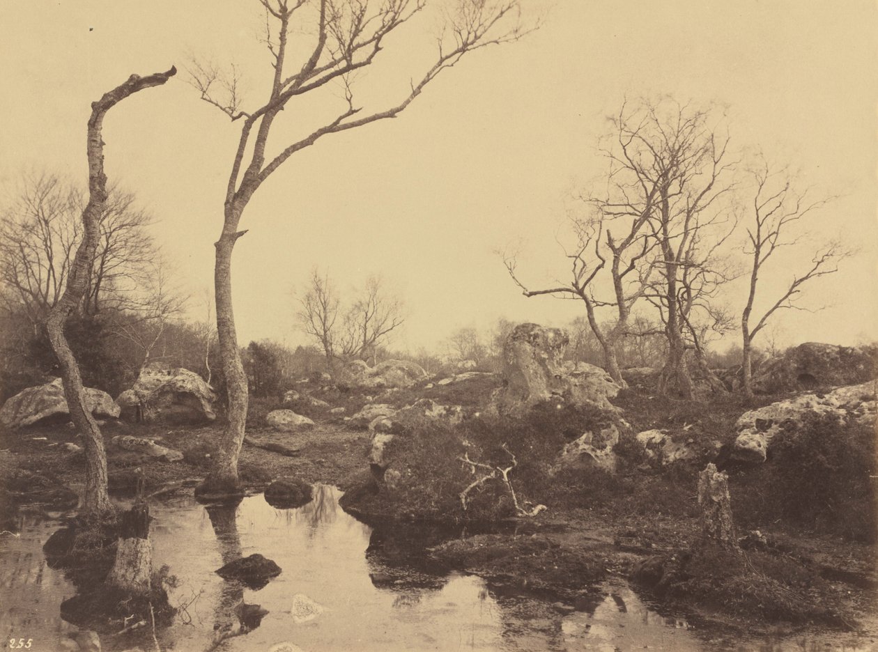 Belle Croix, c. 1858 (foto) de Eugène Cuvelier