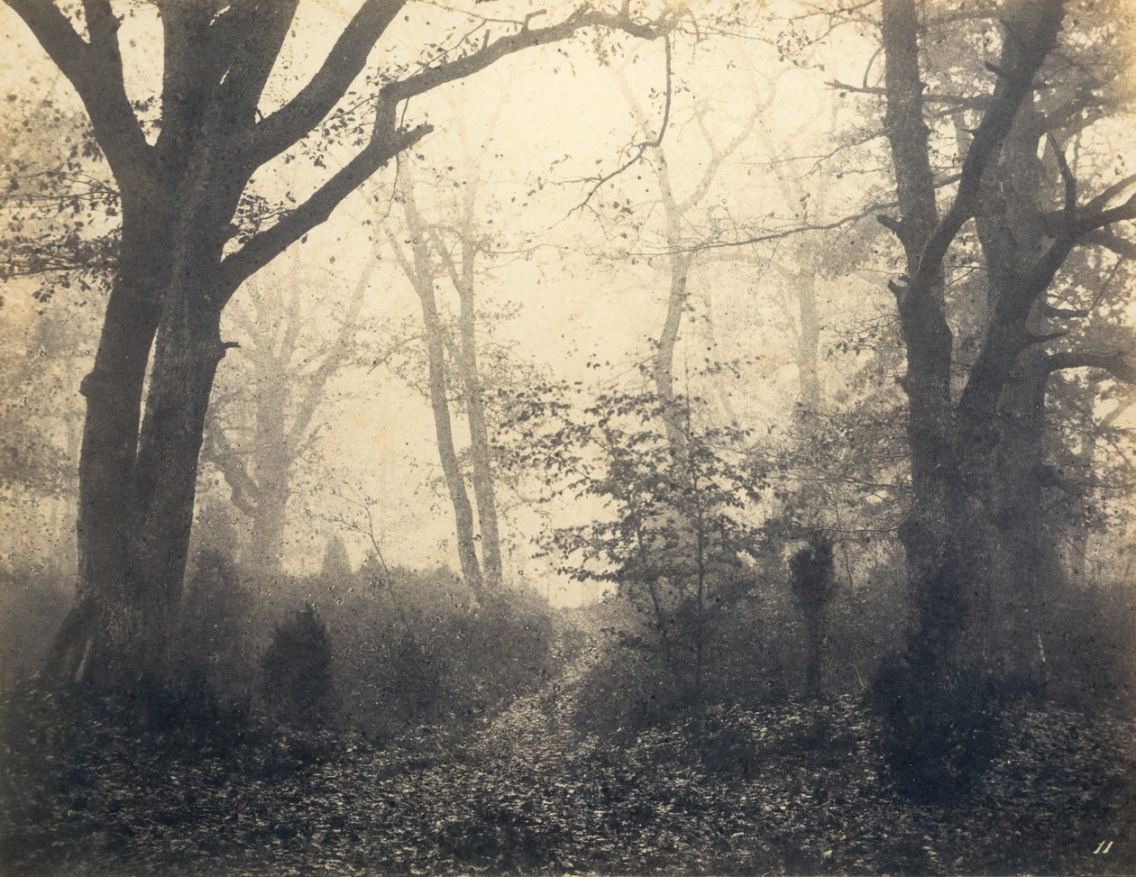 [Bosque de Fontainebleau], principios de 1860 de Eugène Cuvelier
