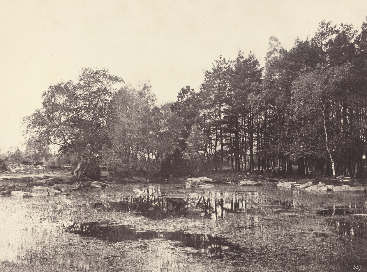 Pantano en el Plateau Belle-Croix de Piat, c. 1863 de Eugène Cuvelier