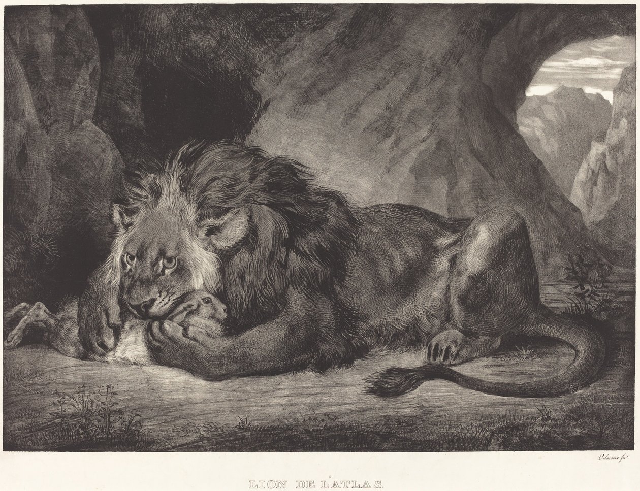 León del Atlas de Eugène Delacroix