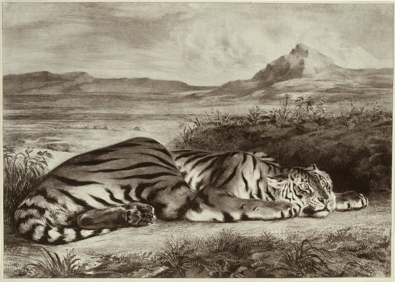 tigre real de Eugène Delacroix