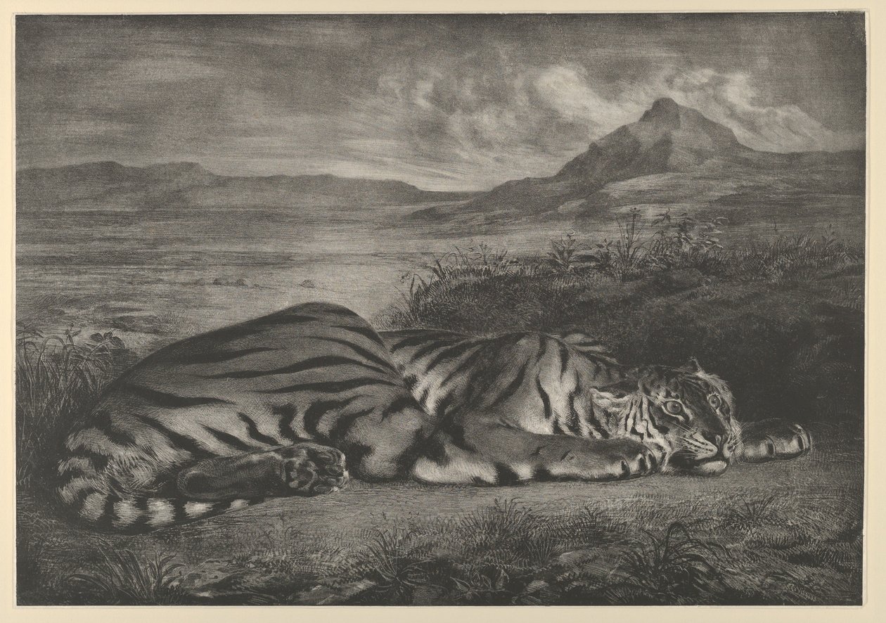 Tigre Real, 1829 de Eugène Delacroix