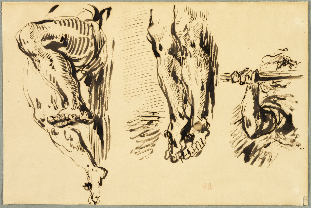 Estudio de brazos y piernas de Cristo crucificado de Eugène Delacroix