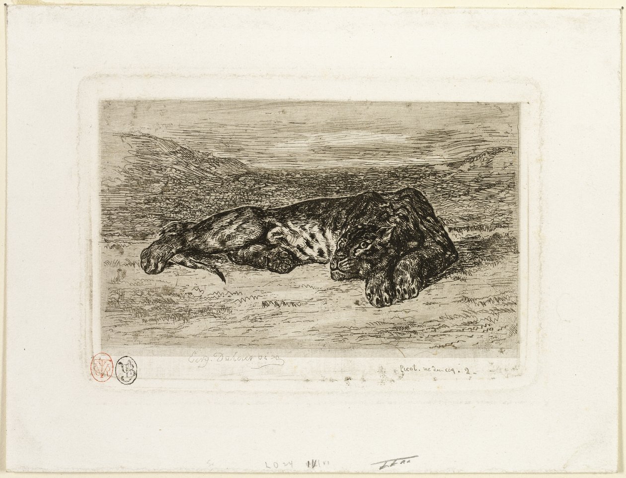 Tigre Descansando en el Desierto de Eugène Delacroix
