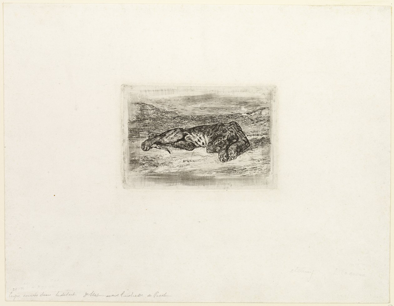 Tigre descansando en el desierto de Eugène Delacroix