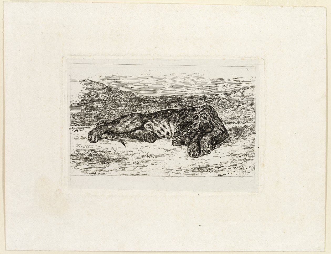 Tigre descansando en el desierto de Eugène Delacroix