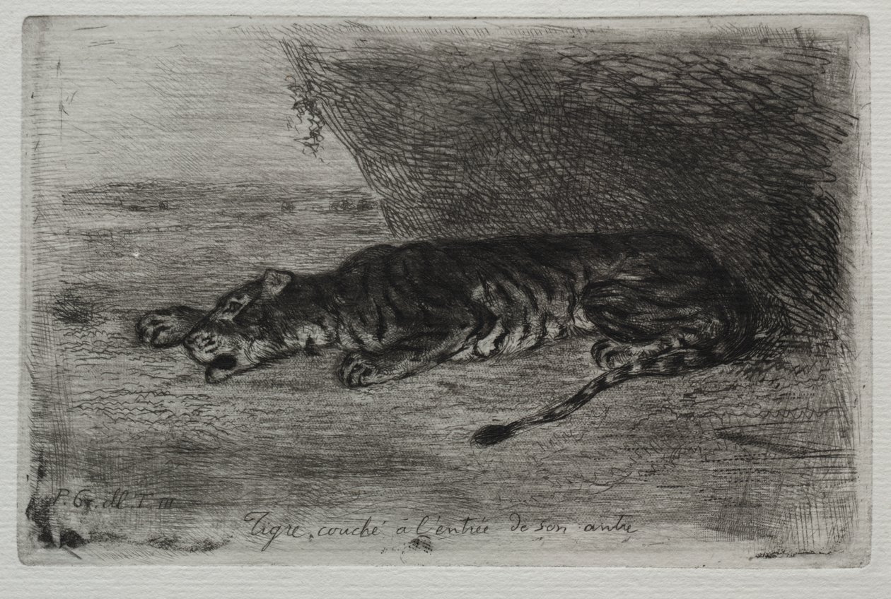 Tigre Durmiendo en la Entrada de su Guarida de Eugène Delacroix