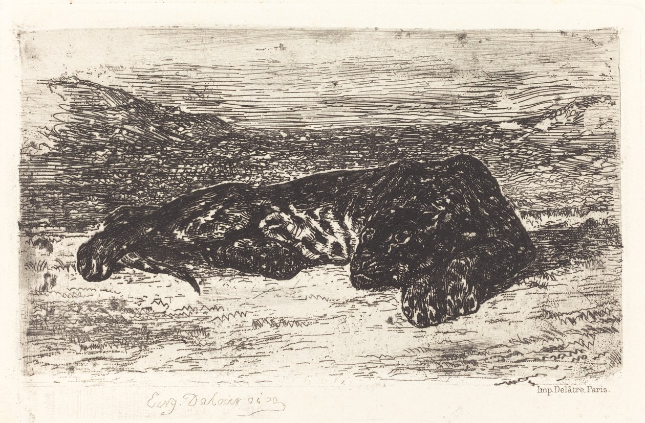 Tigre durmiendo en el desierto de Eugène Delacroix