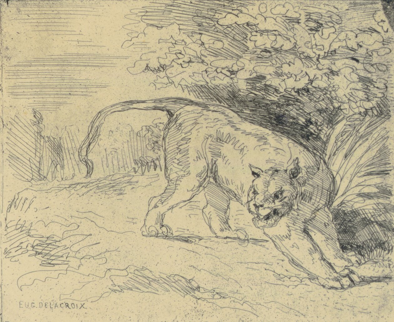 Tigre en Arrêt de Eugène Delacroix