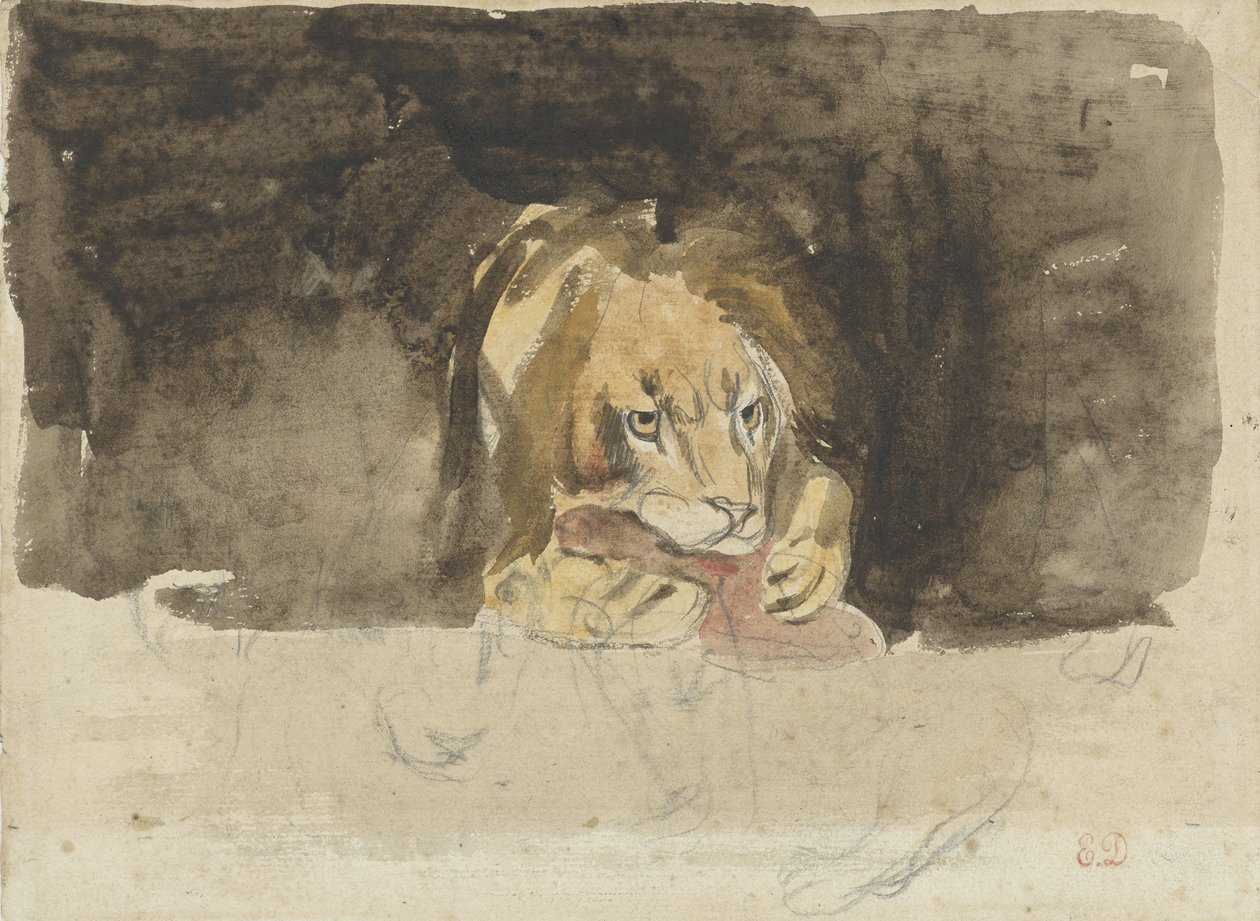 El león carnívoro, visto de frente, se proyecta sobre un fondo oscuro de Eugène Delacroix