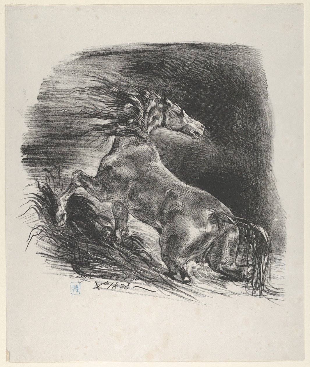 Caballo salvaje, 1828 de Eugène Delacroix