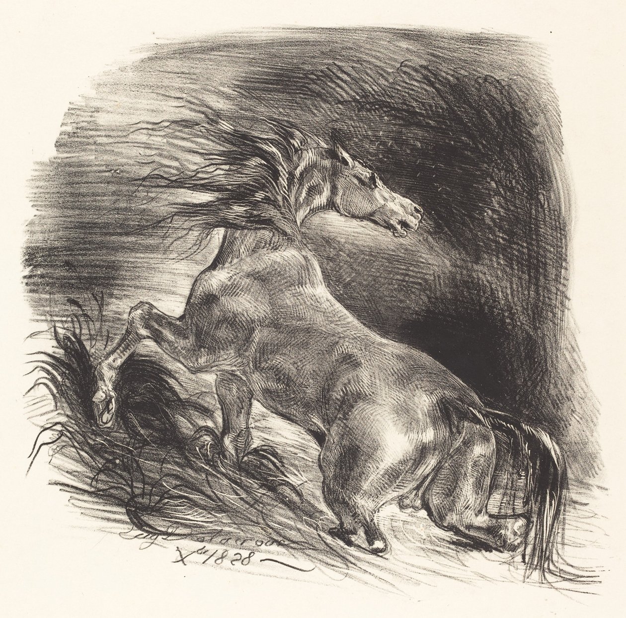 Caballo salvaje saliendo del agua de Eugène Delacroix