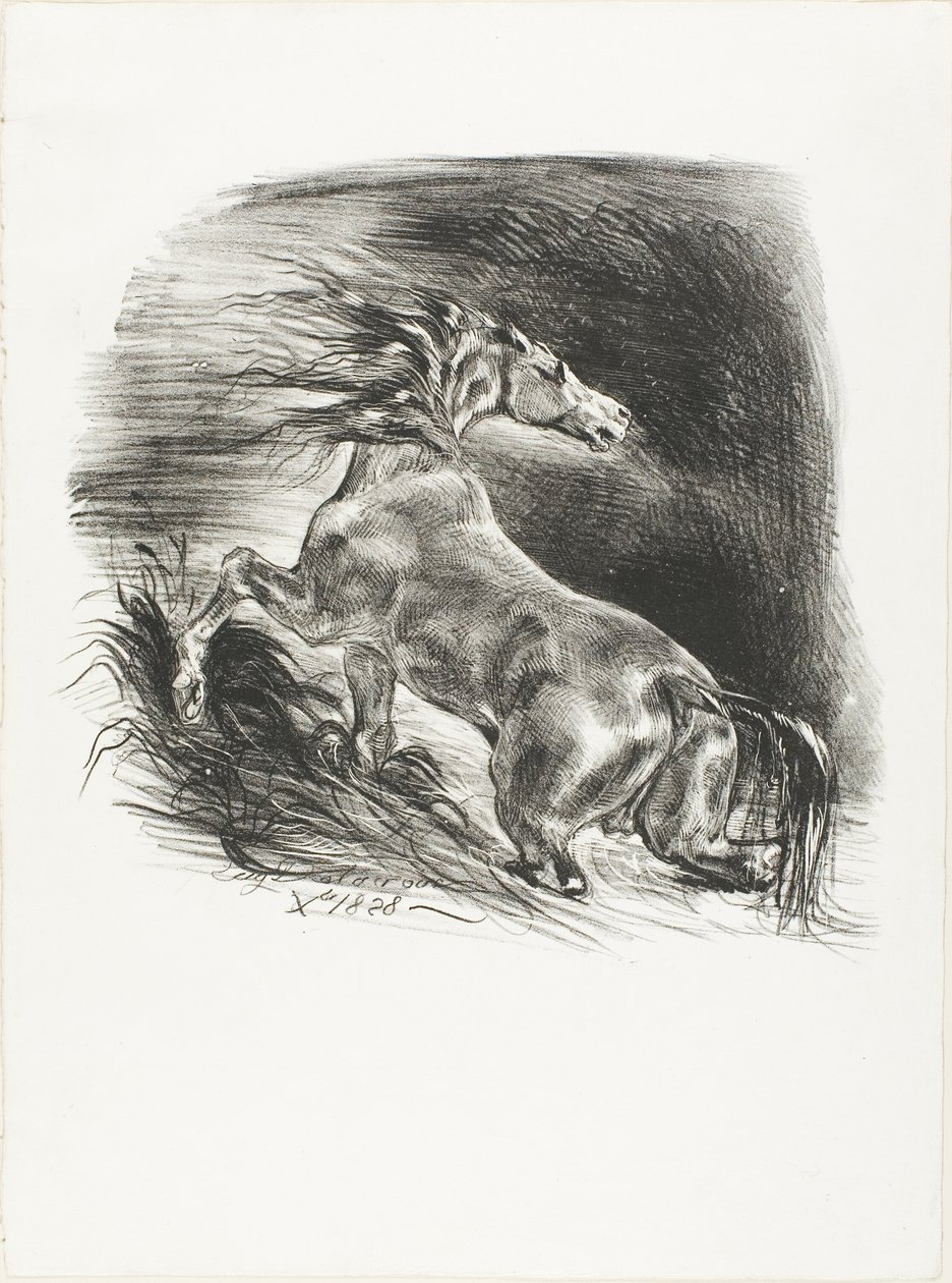 Caballo salvaje, o caballo asustado saliendo del agua de Eugène Delacroix