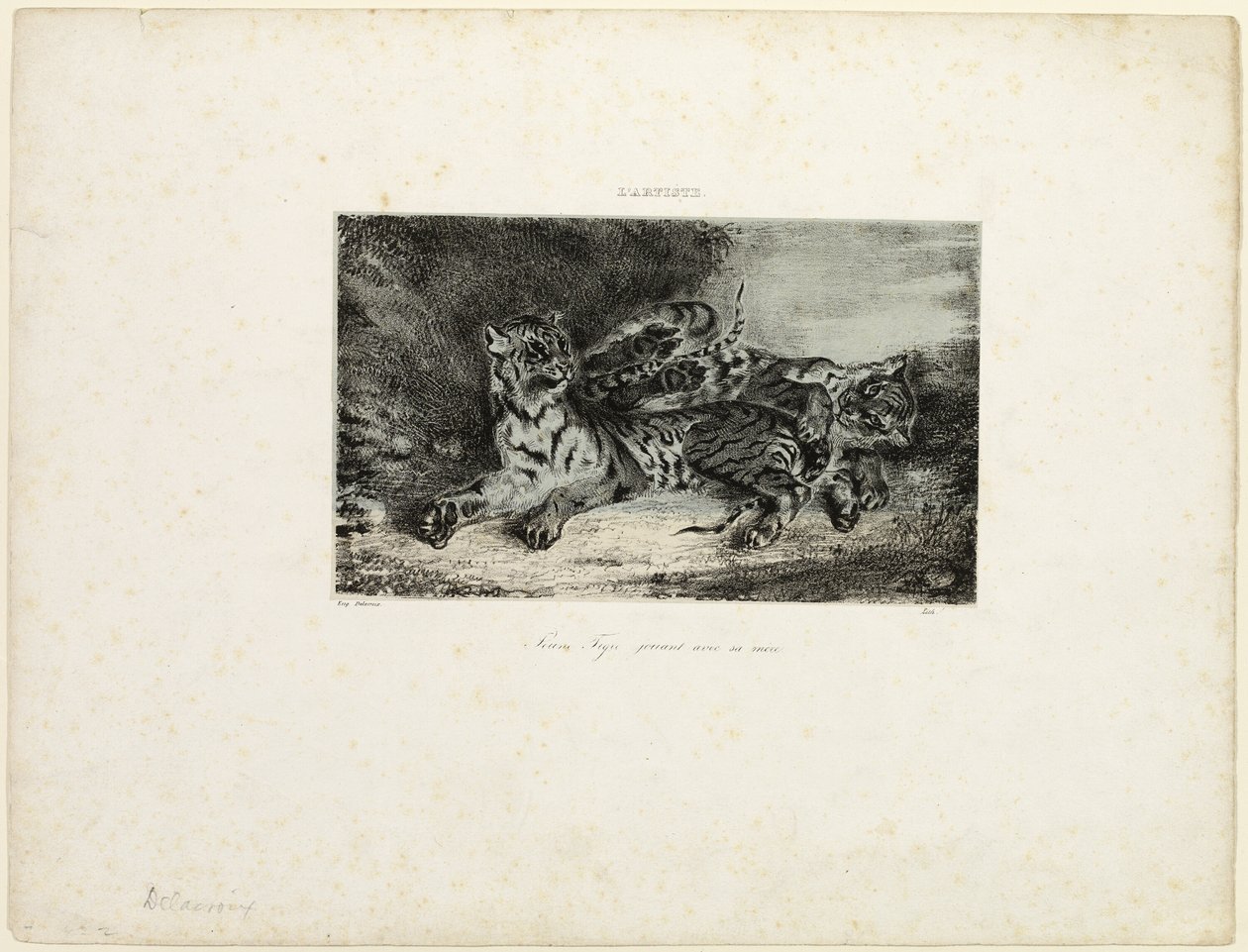 Joven Tigre Jugando con su Madre de Eugène Delacroix