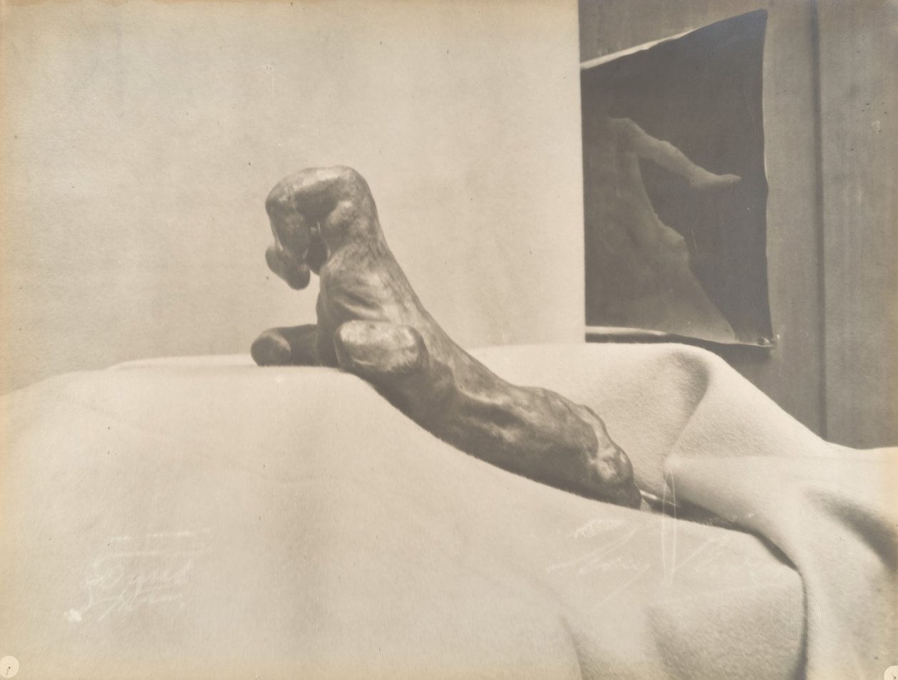La Mano Cerrada de Auguste Rodin de Eugène Druet