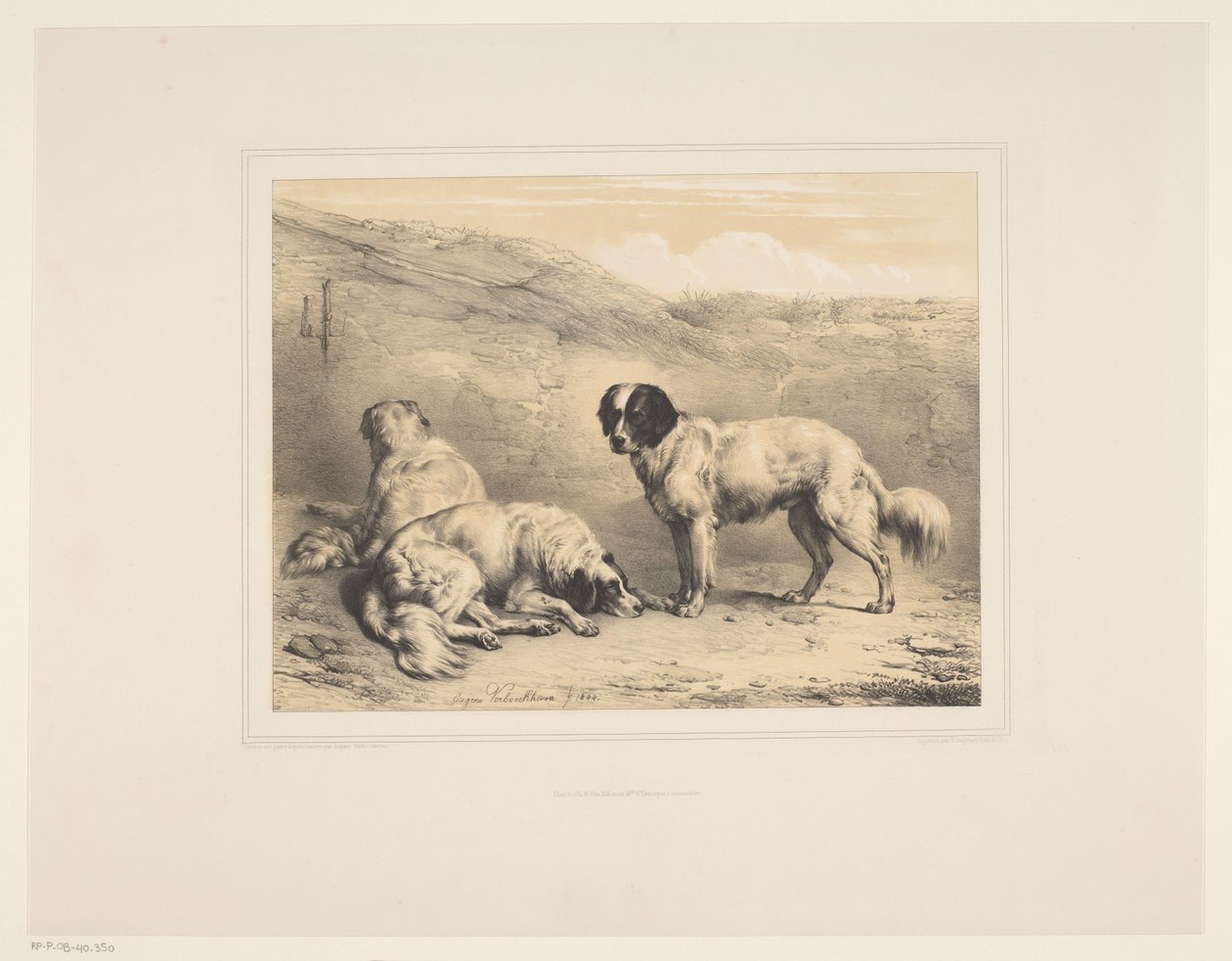Drie honden
Diverse dieren (título de la serie)
Estudios sobre animales (título de la serie) de Eugène Verboeckhoven