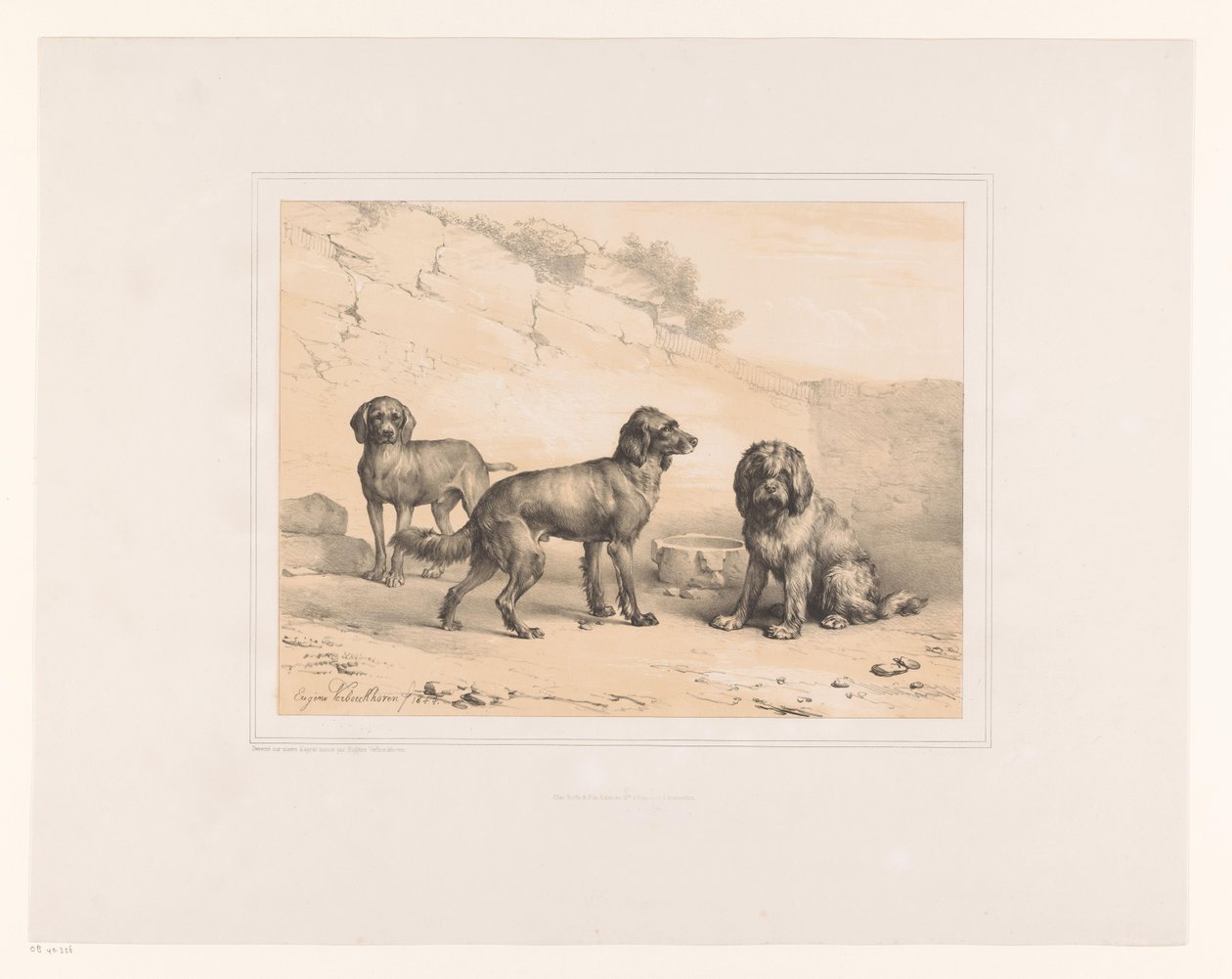 Drie honden
Diverse dieren (título de la serie)
Estudios sobre animales (título de la serie) de Eugène Verboeckhoven