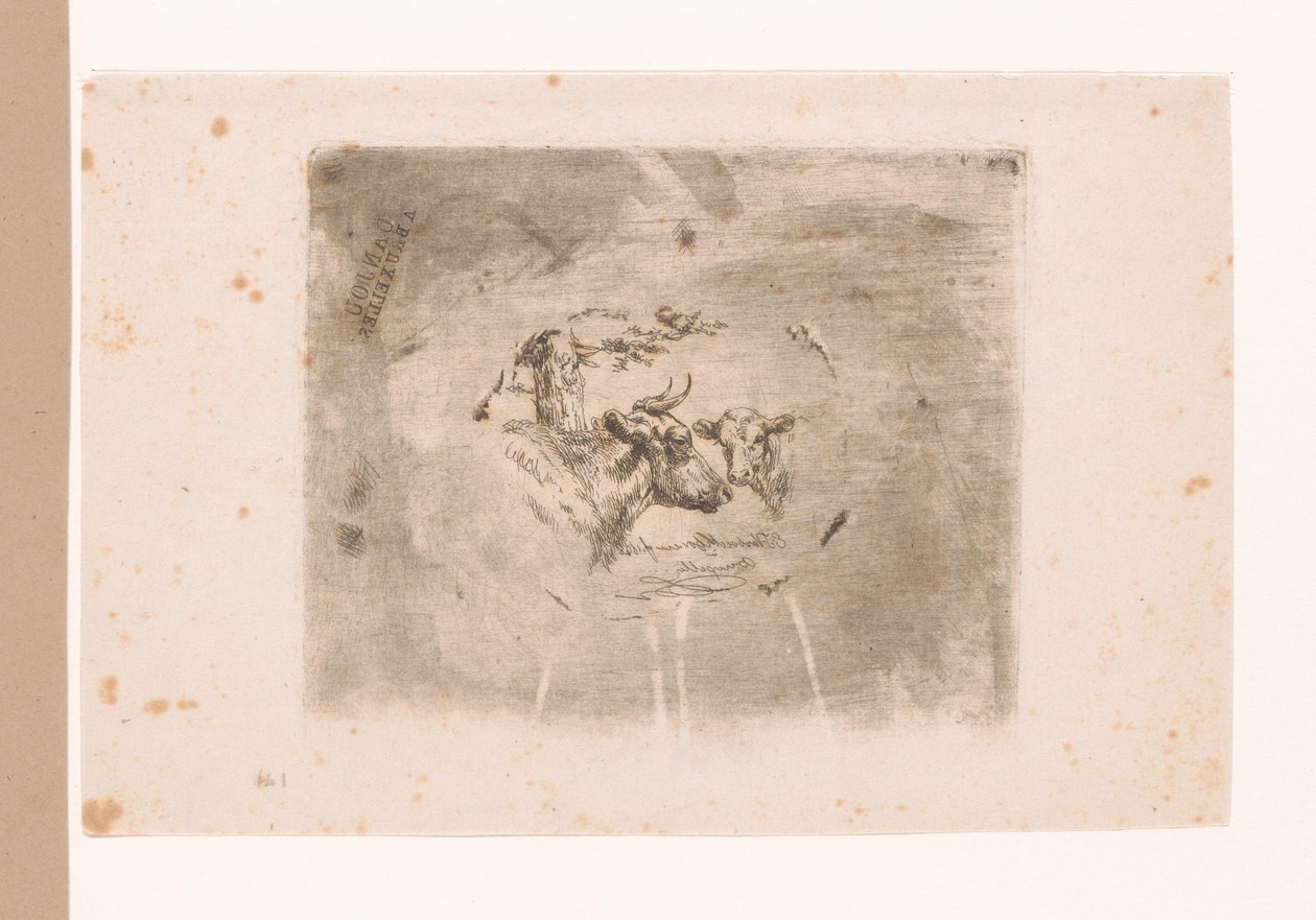 Cabeza de vaca y ternero de Eugène Verboeckhoven
