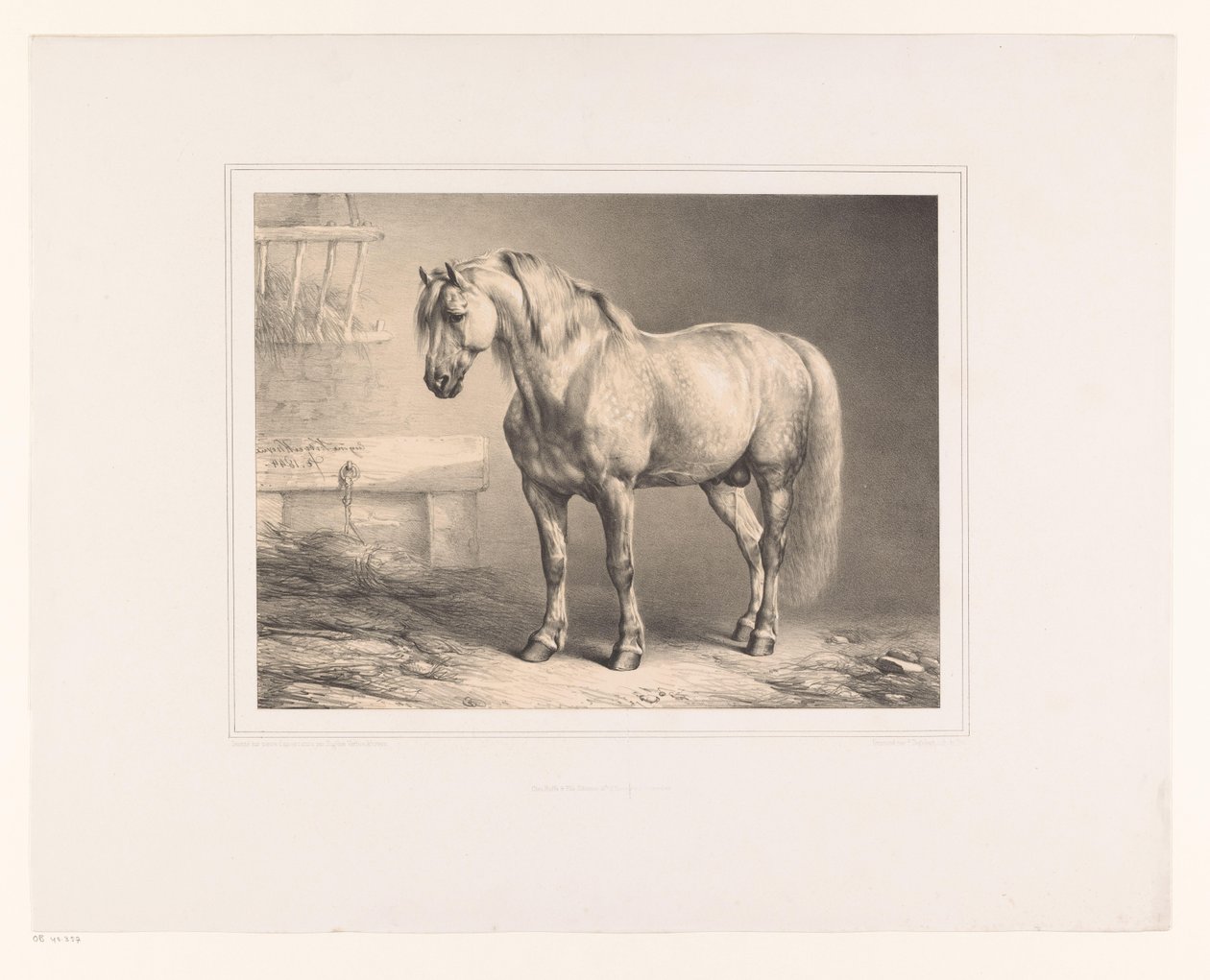 Caballo en un establo
Varios animales (título de la serie)
Études d