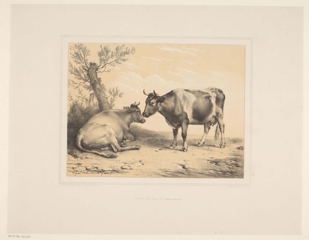 Dos vacas
Varios animales (título de la serie)
Études d
