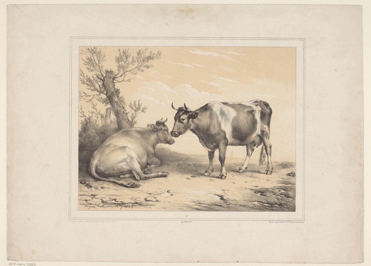 Twee koeien Varios tamme dieren (título de la serie) Trece sujetos de animales domésticos y nativos (título de la serie) de Eugène Verboeckhoven