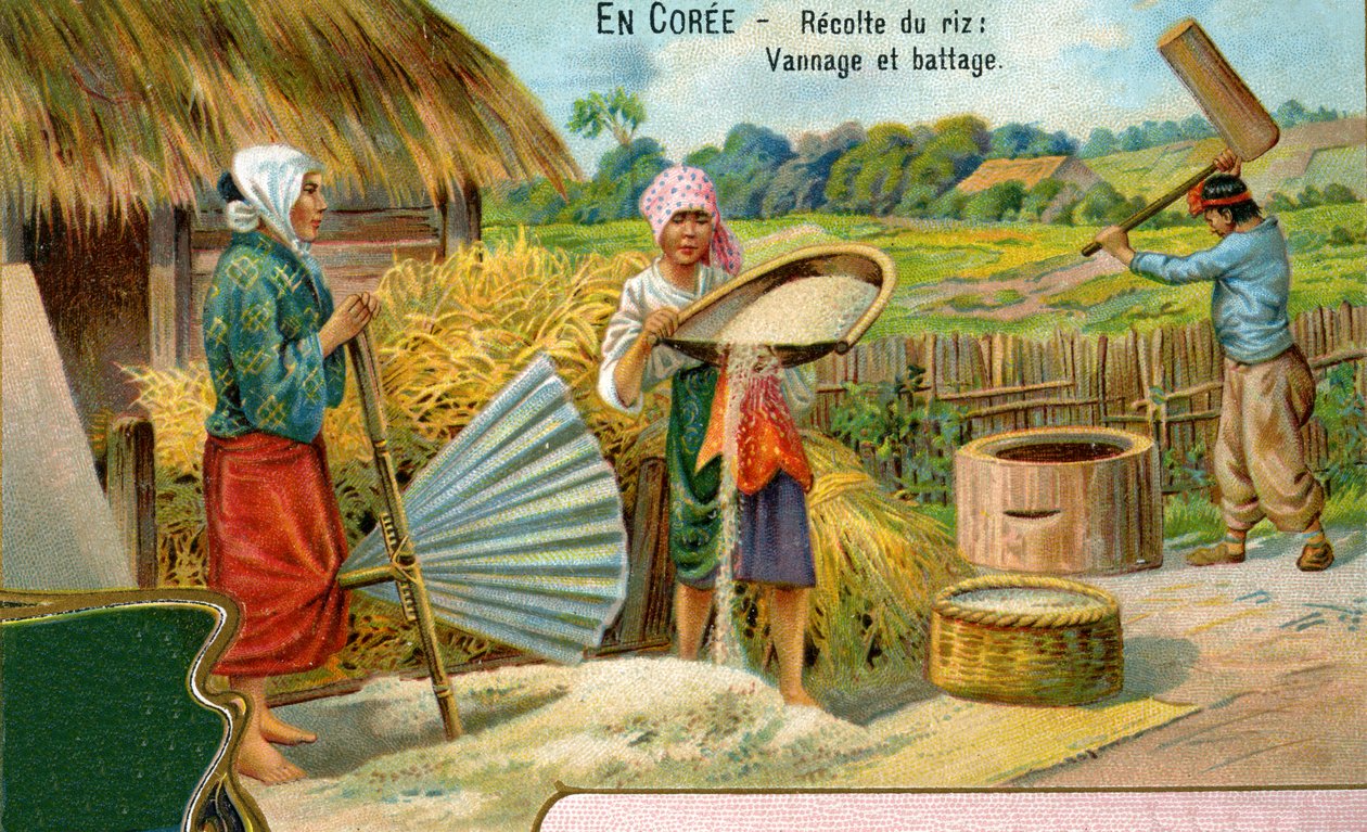 La cosecha de arroz en Corea, aventando y trillando, 1904 de European School